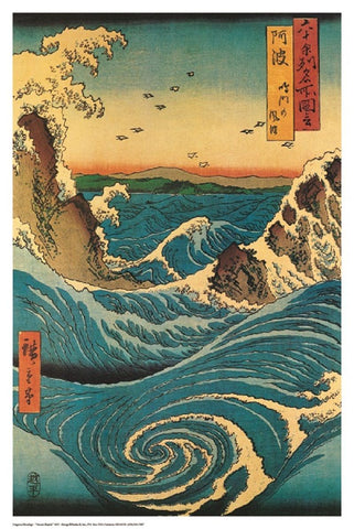 Navarro Rapids