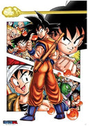 Dragon Ball Goku Story