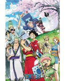 One Piece Wano