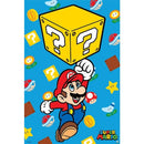 Mario - Block