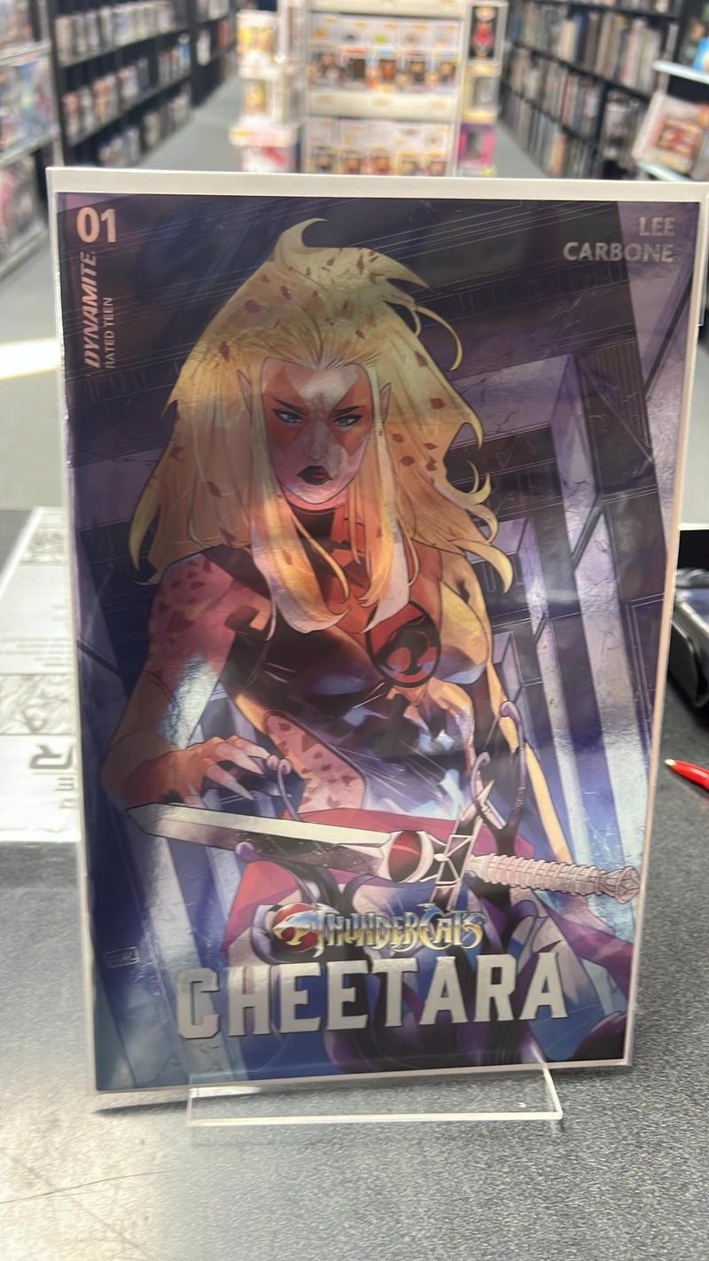 Thundercats Cheetara