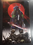 Teenage Mutant Ninja Turtles The Last Ronin Lost Years