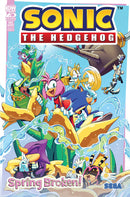 Sonic The Hedgehog Spring Broken