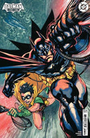 Batman And Robin Year One