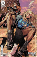 Birds Of Prey