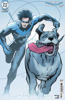 Nightwing