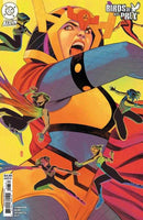 Birds Of Prey