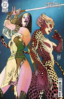 Cheetah And Cheshire Rob The Justice League