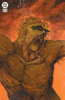 Swamp Thing 1989