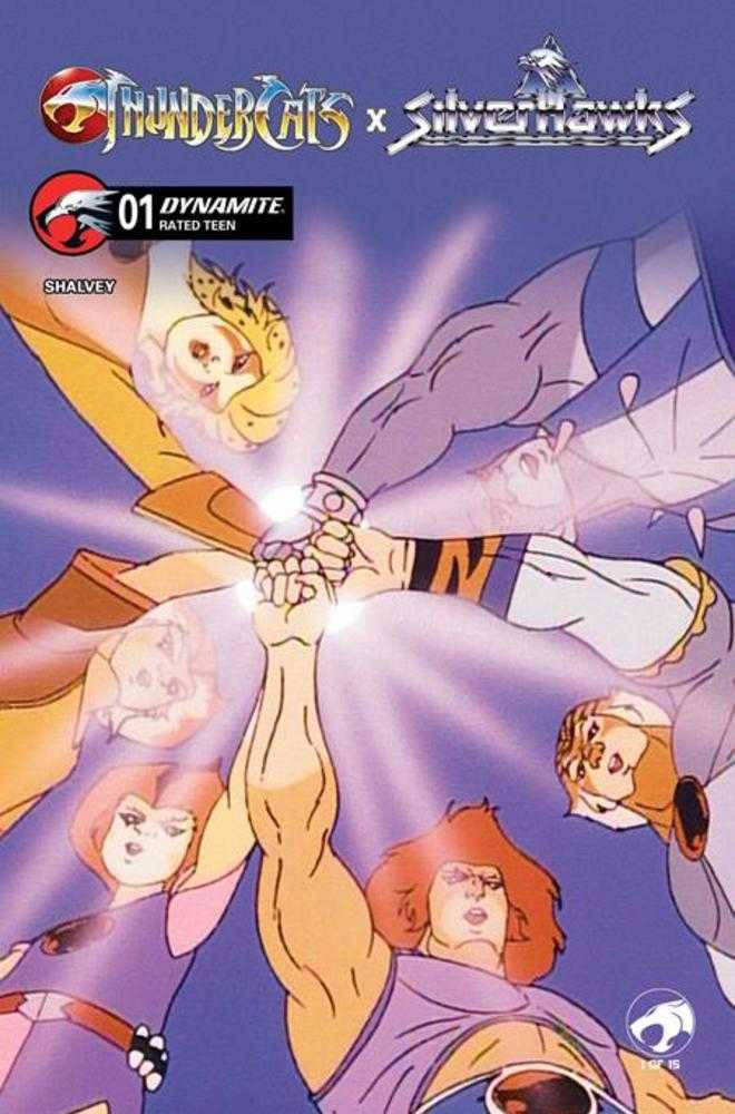 Thundercats X Silverhawks