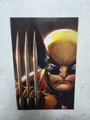 Wolverine