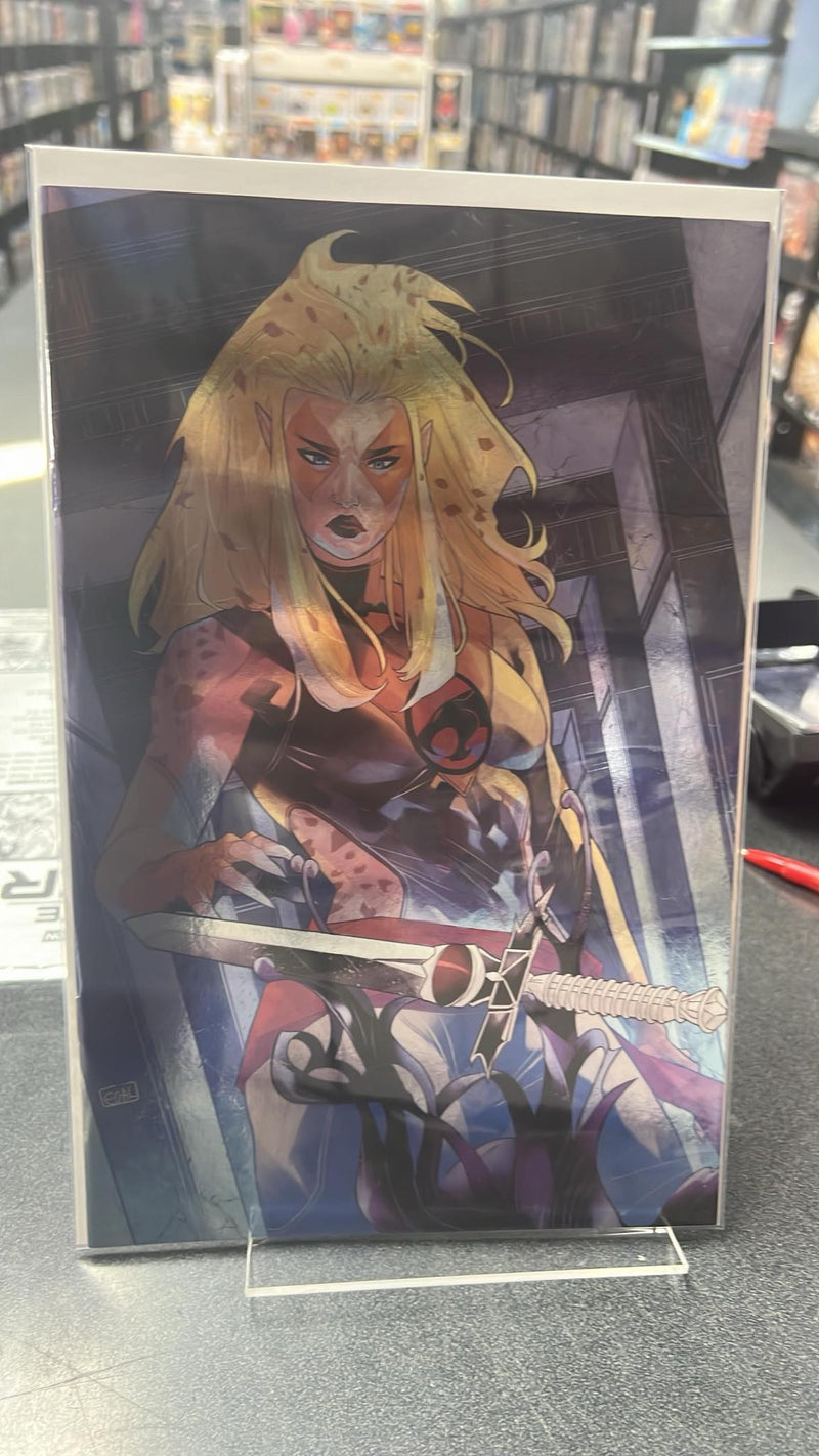 Thundercats Cheetara