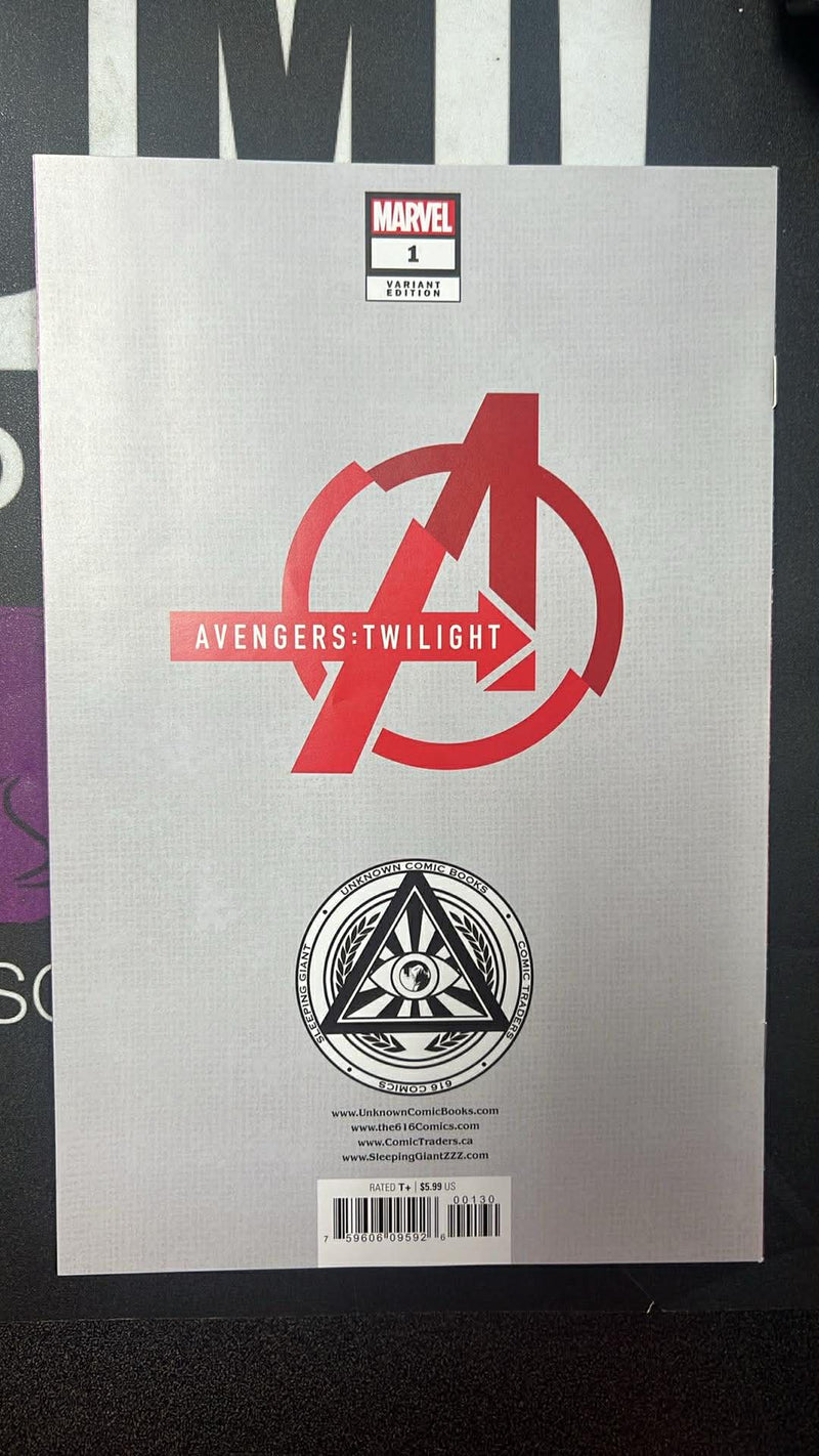 Avengers: Twilight