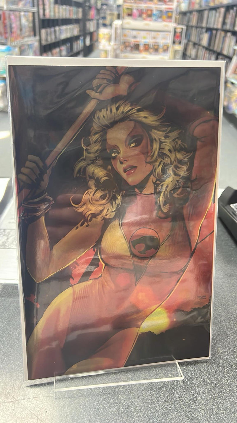 Thundercats Cheetara
