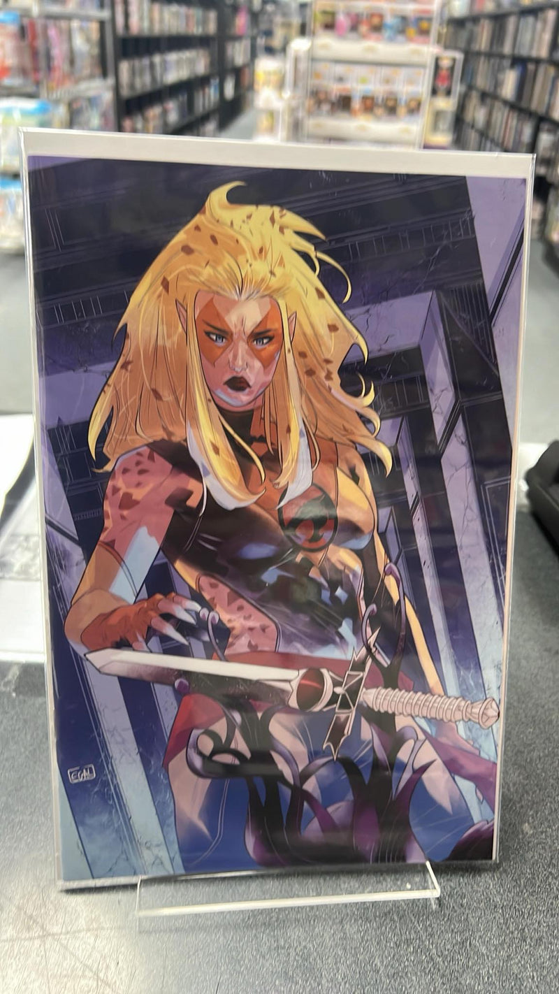 Thundercats Cheetara