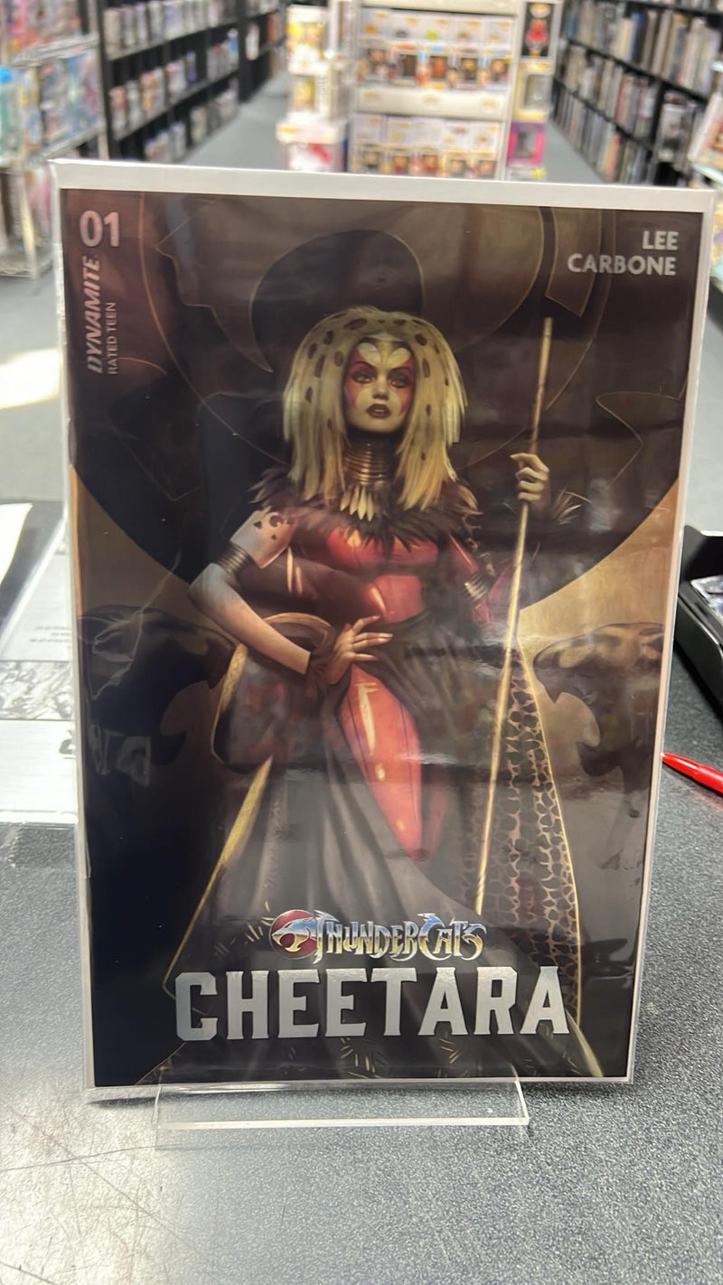Thundercats Cheetara