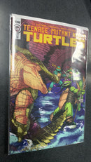 Teenage Mutant Ninja Turtles Ongoing