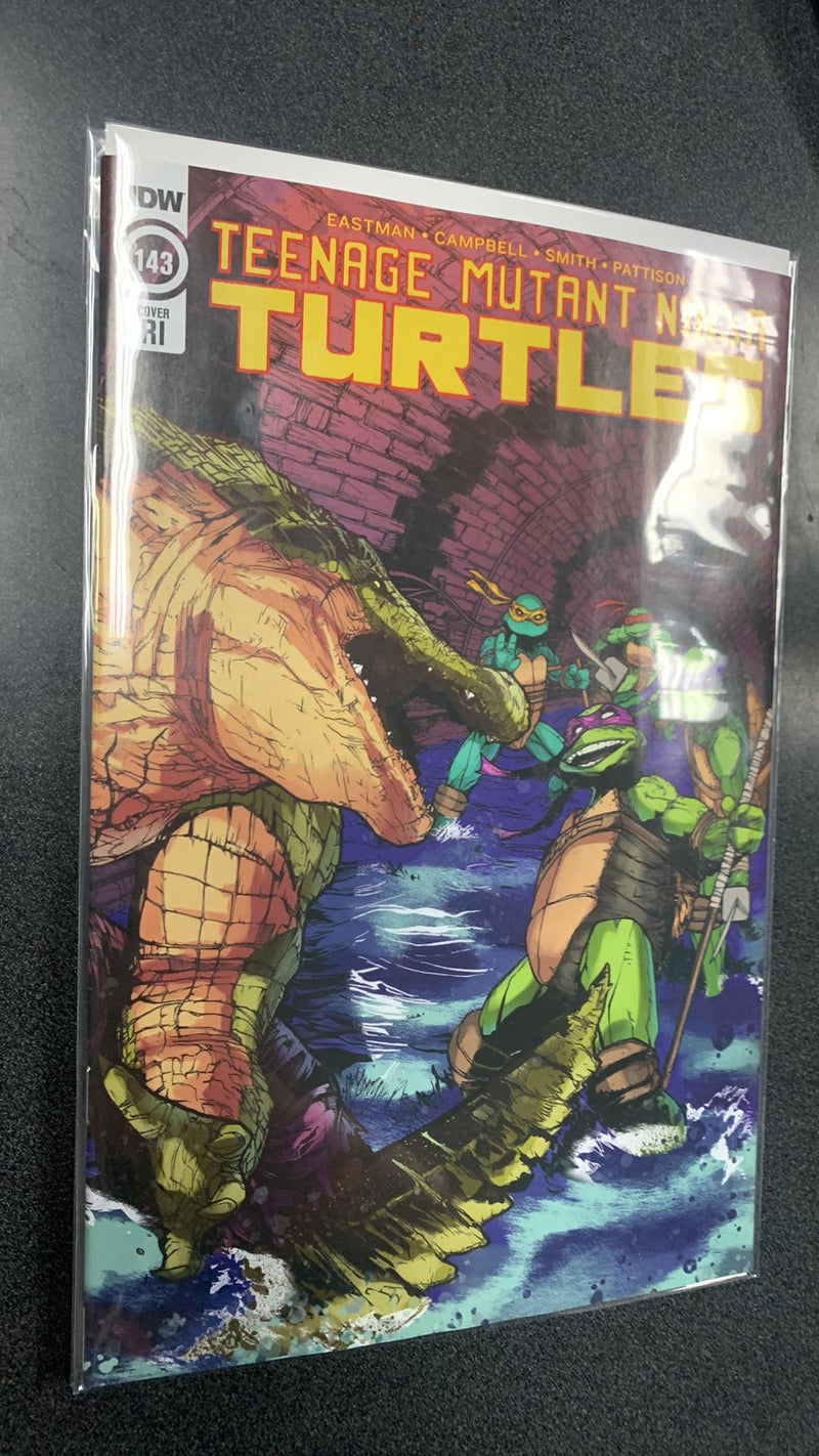 Teenage Mutant Ninja Turtles Ongoing