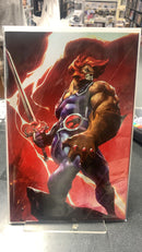 Thundercats