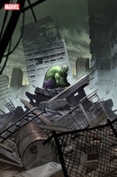 Incredible Hulk