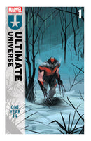 Ultimate Universe: One Year In