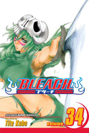 Bleach TPB Volume 34
