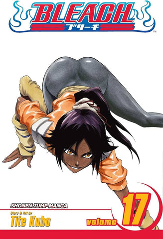 Bleach Graphic Novel Volume 17