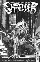Teenage Mutant Ninja Turtles: Shredder