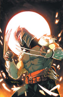 Teenage Mutant Ninja Turtles: Shredder