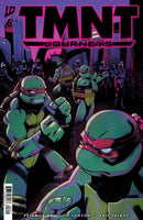 Teenage Mutant Ninja Turtles: Journeys