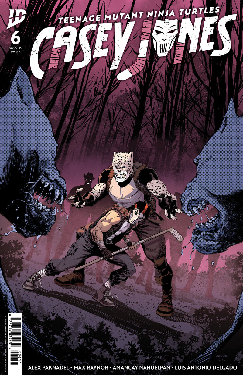 Teenage Mutant Ninja Turtles: Casey Jones