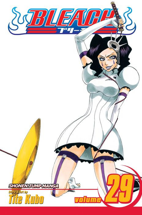 Bleach Graphic Novel Volume 29