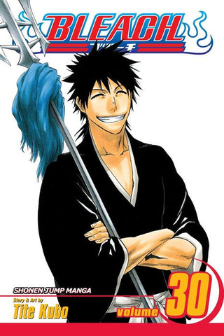 Bleach Graphic Novel Volume 30