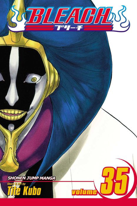 Bleach Graphic Novel Volume 35
