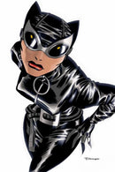Catwoman The Dark End Of The Street TPB