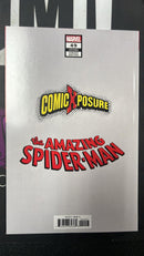 Amazing Spider-Man
