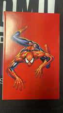 Amazing Spider-Man
