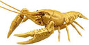 Fujimi Biology Edition Crayfish (Gold)