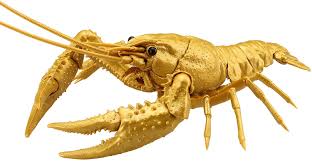 Fujimi Biology Edition Crayfish (Gold)