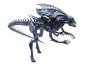 Avp Alien Queen Previews Exclusive 1/18 Scale Figure