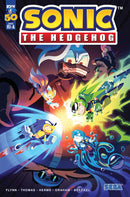 Sonic The Hedgehog