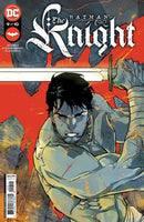 Batman The Knight