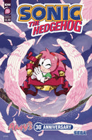 Sonic The Hedgehog Amys 30th Anniversary