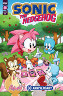 Sonic The Hedgehog Amys 30th Anniversary