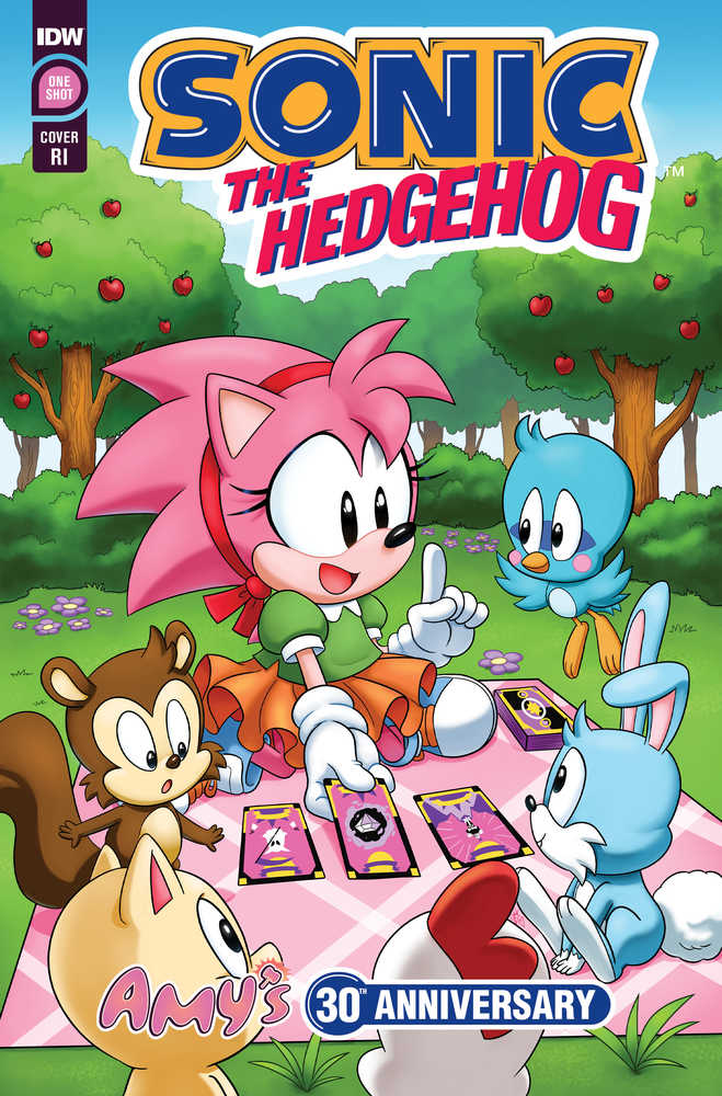 Sonic The Hedgehog Amys 30th Anniversary
