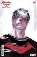Batman Catwoman The Gotham War Red Hood