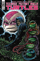 Teenage Mutant Ninja Turtles: Ongoing