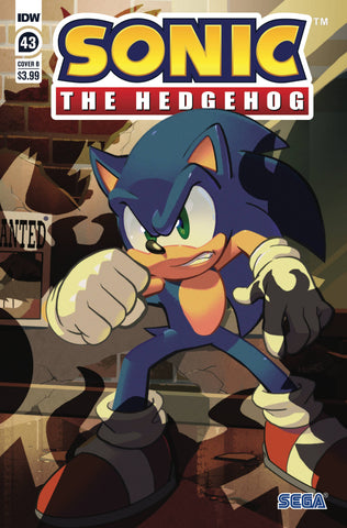 Sonic The Hedgehog #43 Cvr B Matt Herms