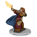 Female Dwarf Wizard